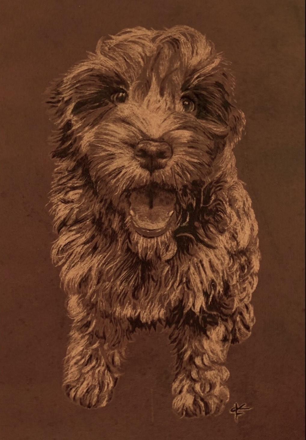 Dog Portrait